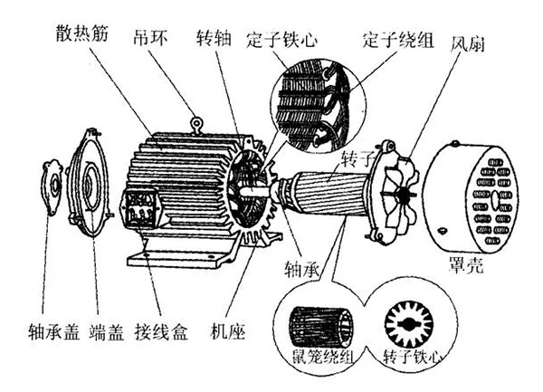 三相異步電動(dòng)機(jī)的六種分類(lèi)方法及具體分類(lèi)。